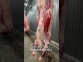 【経産牛としみ】お肉販売します