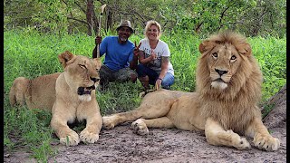 The Lion Walk at Fathala Wildlife Reserve/Senegal: with THE DEE'S