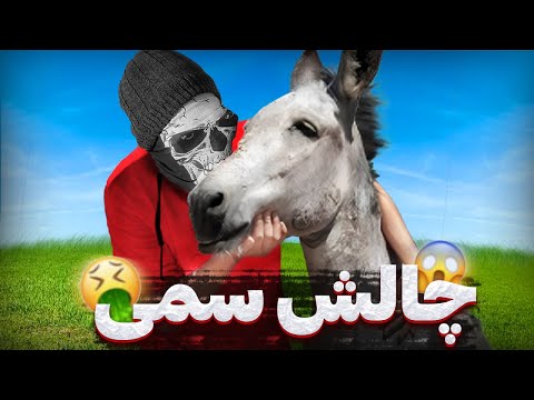 به خر تیتاب دادیم واقعی