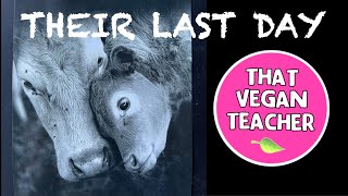 Their First and Last Day Together - Be Fair. Be Vegan. Subscribe. Help me save them.