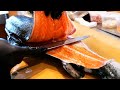 Japanese Food - SALMON, TUNA, SEA BREAM SASHIMI Seafood