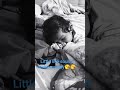 #mrigakshee #littlefingers #live #doll #babygirl 🧿🧿#baby