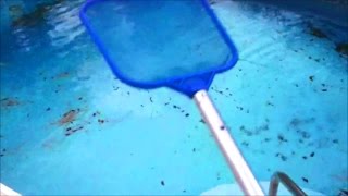 Leaf skimmer net pool cleaning basics lesson quick tip part 2