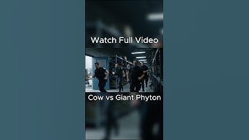Heroic Rescue Team Saves Lonely Cow from Deadly Giant Python🐍 #airescue #aivideo #aishorts