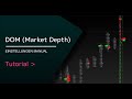 VolFix Basics | Der Markt unter dem Mikroskop – Depth of Market (DoM)