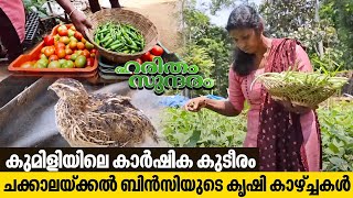 Watch how Bincy from Kumily makes huge income through home farming | Haritham Sundaram EP 437