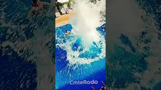 Video IA - Piscina #tiktok #ia #videoia #aivideo