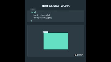 Learn CSS Border Width in 12 Seconds.