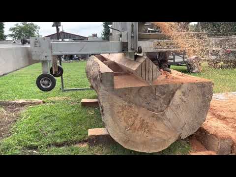 Quarter sawing sycamore