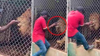 Damn Nature You Scary | Rare \& Scary Animal Encounters 😱 #16