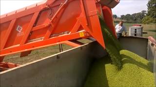 Chaser Trailer on Peas