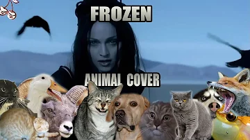 Madonna - Frozen (Animal Cover)