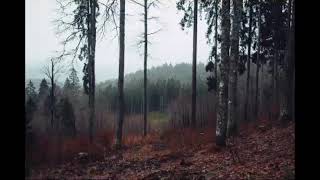 Burzum - Autumn Leaves (3 hours loop)