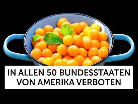 Warum in den USA Mirabellen verboten sind und 21 weitere Lebensmittel