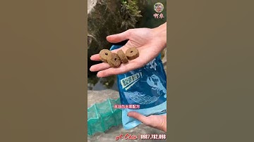 Mồi Bẫy Tôm Cua Cá Lươn Cực Nhậy @shorts