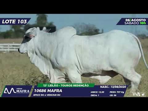 LOTE 103 MFRA 10686