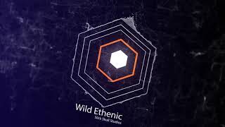 Wild Ethnic -FT. Slick Skull Studios!! BASS BOOSTED--DJ JENISH. screenshot 1