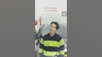LEE DONGHAE - SUPER JUNIOR “Perfect”