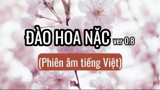 ĐÀO HOA NẶC | Ca sĩ Đặng Tử Kỳ | ver 0.8x (giọng nam) | Nhạc Trung Quốc có lời | Phiên âm tiếng Việt