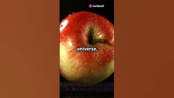 If there was a coconut instead of apple 🍏 during the discovery of gravity!👀