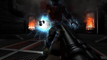 Doom 3 RoE Boss 3: Invulnerability Hunter- No Damage, Nightmare, No Artifact