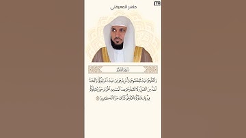 ماهر المعيقلي سورة البقرة آية 191 (كل يوم آية) | Mahmoud Okasha