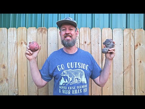 Preserving Your Potato