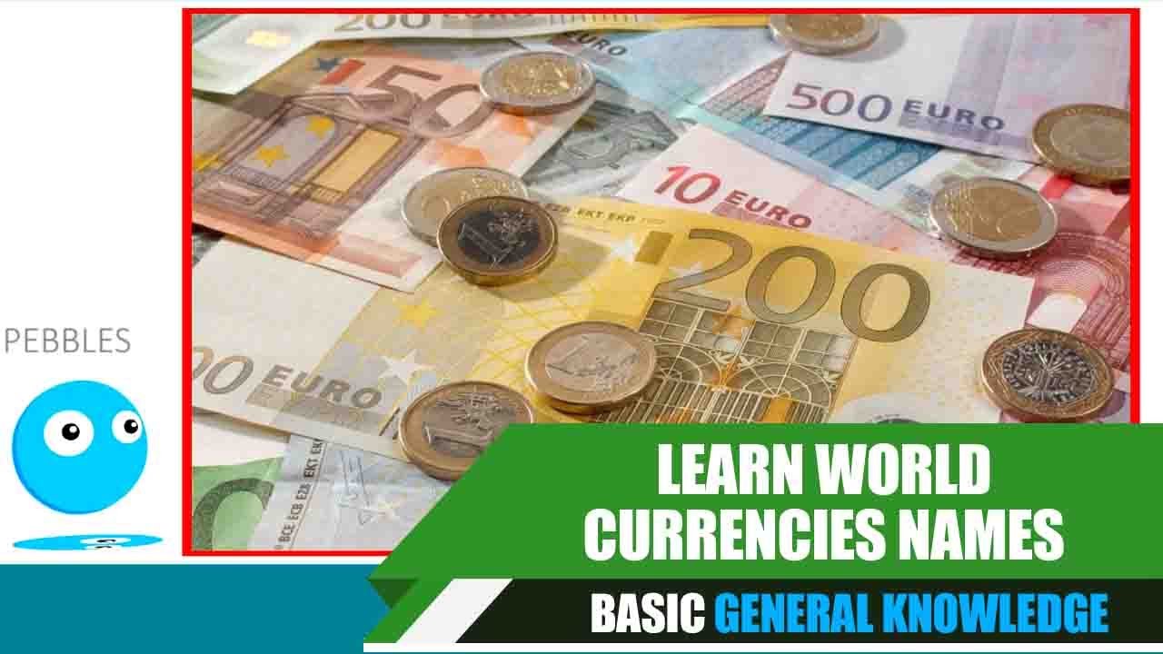 Learn World Currencies Names English educational video Basic