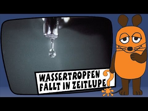 Ein Wassertropfen fllt in Zeitlupe - Sachgeschichten mit Armin Maiwald