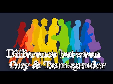Video: Rozdíl Mezi Homosexuály A Homosexuály
