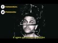 The Weeknd ft Labrinth   Losers Pt Br on Vimeo