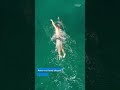 Tips to swim like a PRO! 🏊‍♂️