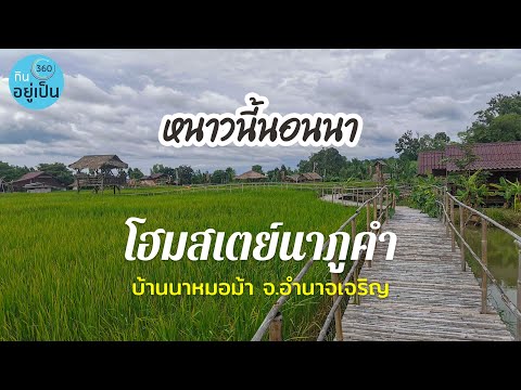 หนาวนี้นอนนา โฮมสเตย์นาภูคำ อำนาจเจริญ | กินอยู่เป็น