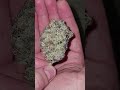 Cheap Weed Vs Expensive Weed Cannabistalk101 Thc Alwaysgoodcannabis mp3
