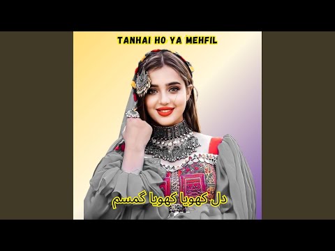 TANHAI HO YA MEHFIL ME دل کھویا کھویا گمسم