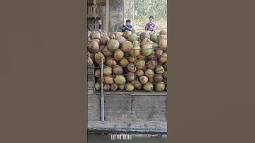 #shorts vượt cống 7 cửa