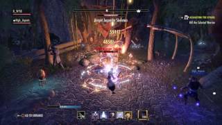 ESO - 39.5K Target Dummy - MagSorc No Pet