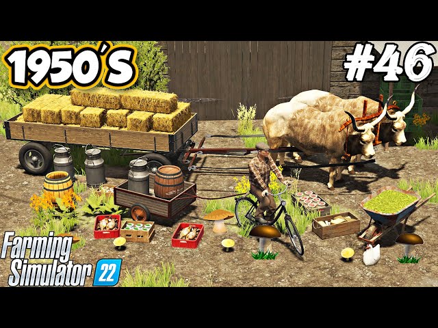 1950'S. MUSHROOM picking. Collecting straw bales. Maize silage. Selling products. FS 22. Ep 46 class=