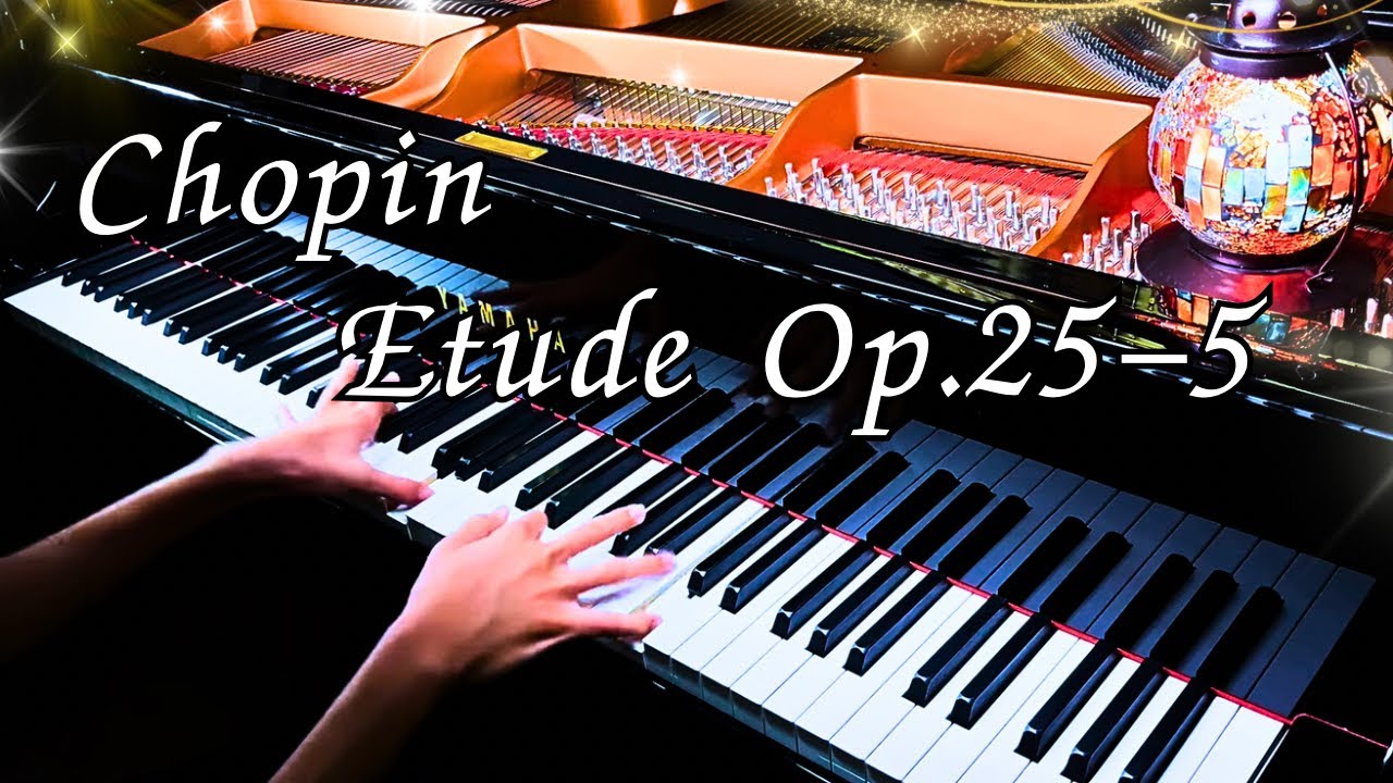 プチポワン プチポアン ピアノ 演奏 音楽 Chopin - Etude Op. 25 No. 5 