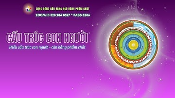 Buổi 6 - CẤU TRÚC CON NGƯỜI | THẦY MINH QUANG