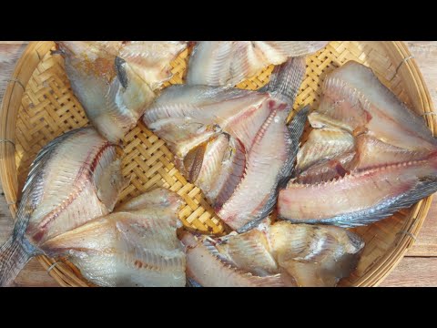 วีดีโอ: วิธีทำเกลือปลาสำหรับตากแห้ง