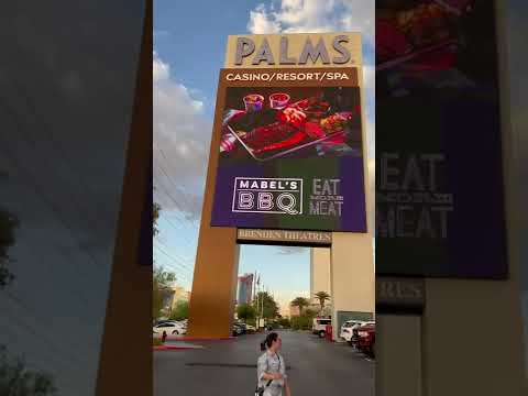 Yokozuna panda slot ! Sumo fight #viral #slots #casino