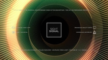 sightsignal - Digital Eye Loop 1