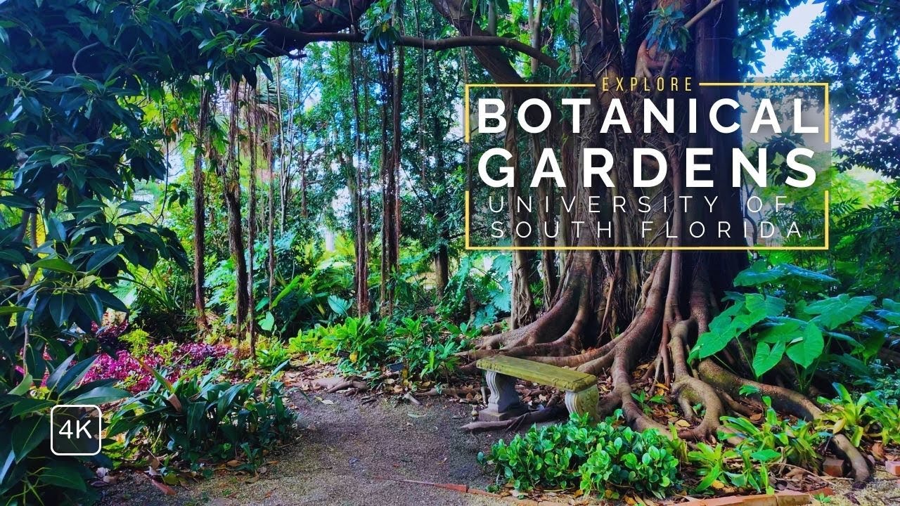 USF Botanical Gardens: Relaxing Visual Tour with Soft Music | Peaceful Nature Views in 4K Ultra HD