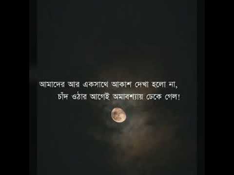 Bangla Aesthetic Captions For Instagram Facebook Youtube