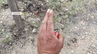 Así hacemos una Viga de fundación y Zapata corrida