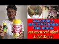 Calcium and multi vitamin for birds  how to get more eggs of birds 