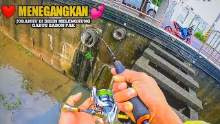 Terlalu nekat..! mancing ikan gabus saat cuaca buruk | casting gabus umpan soft frog screenshot 1