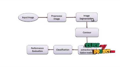 Final Year Projects | Active contours driven by local Gaussian
