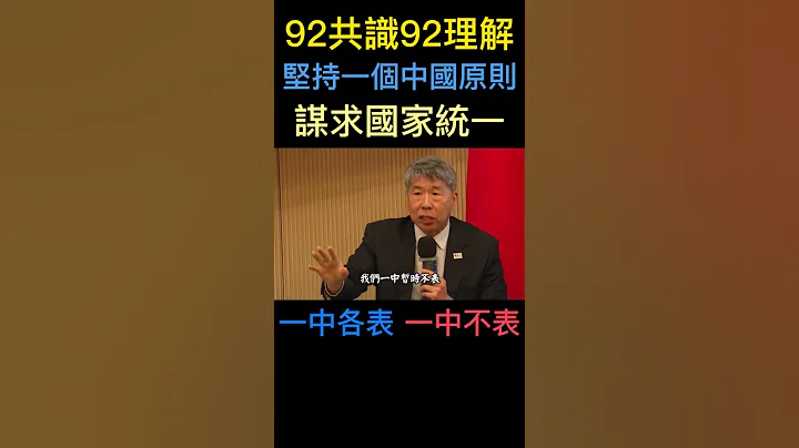 張亞中 92共識92理解 含意是什麼 不等於一中各表 - 天天要聞